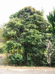 i 132