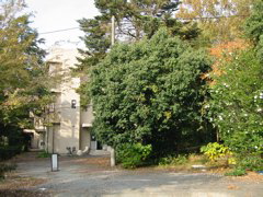 i 133