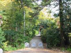 i 134
