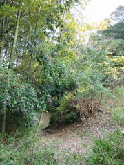 i 140