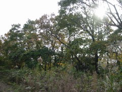 i 141