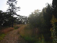 i 043