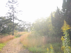 i 044