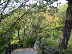 i 045