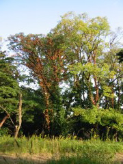 i 046
