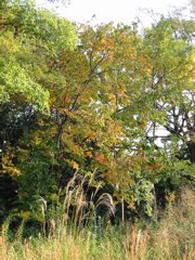 i 047