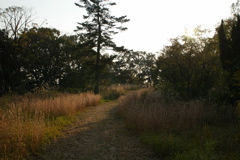 i 057