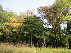 i 030