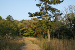 i 065