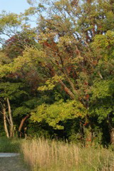 i 066