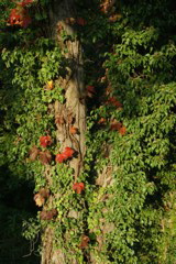 i 069