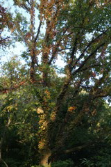 i 070