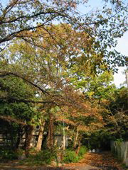 i 003