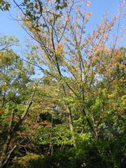 i 031