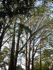 i 005