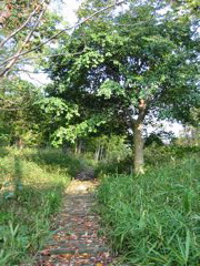 i 008