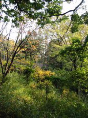 i 010
