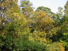 i 011