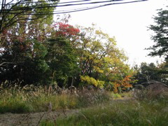 i 012