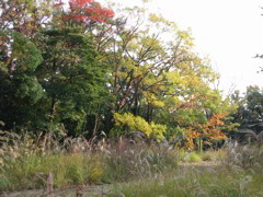 i 013