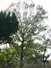 i 014