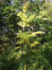 i 032