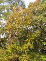 i 015