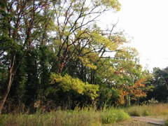 i 016