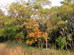 i 017