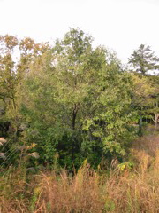 i 019