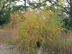 i 021
