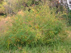 i 022