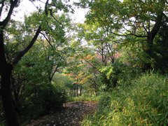 i 023