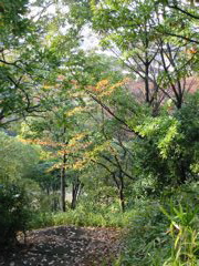i 024