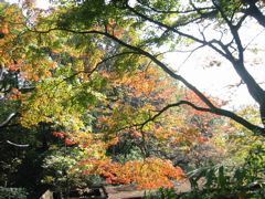 i 033
