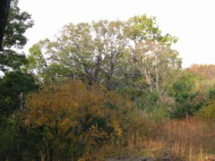 i 025