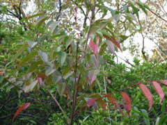 i 048