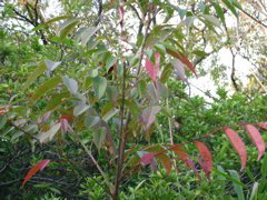 i 049