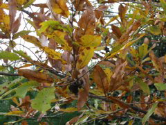 i 050