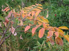 i 051