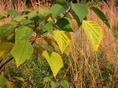 i 053