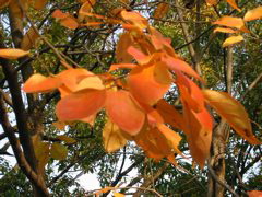 i 054