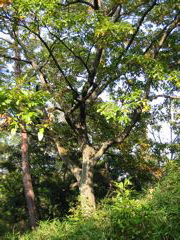 i 034