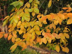 i 056