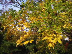 i 060