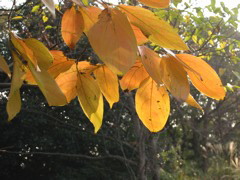 i 063
