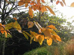 i 064