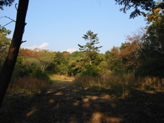 i 035