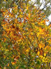 i 069