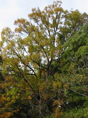 i 074